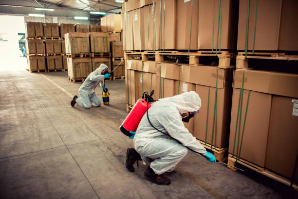Reliable Upper Grand Lagoon, FL Pest Control Solutions