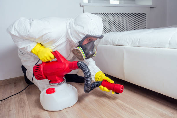 Best Best Pest Control Companies  in Upper Grand Lagoon, FL